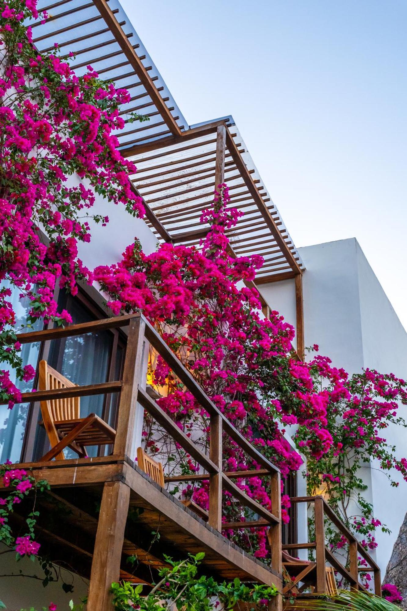 My Blue Hotel Holbox Buitenkant foto