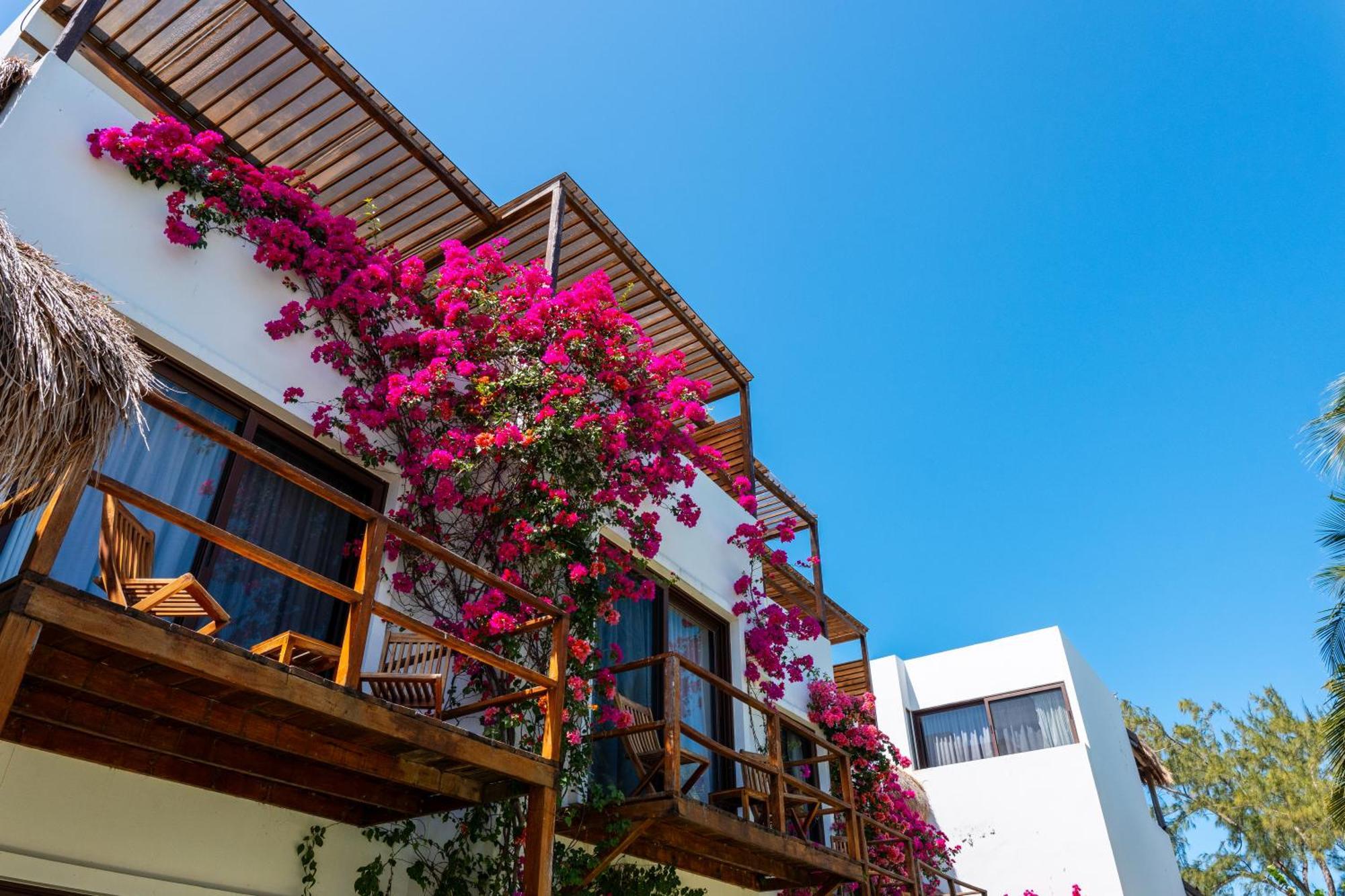 My Blue Hotel Holbox Buitenkant foto