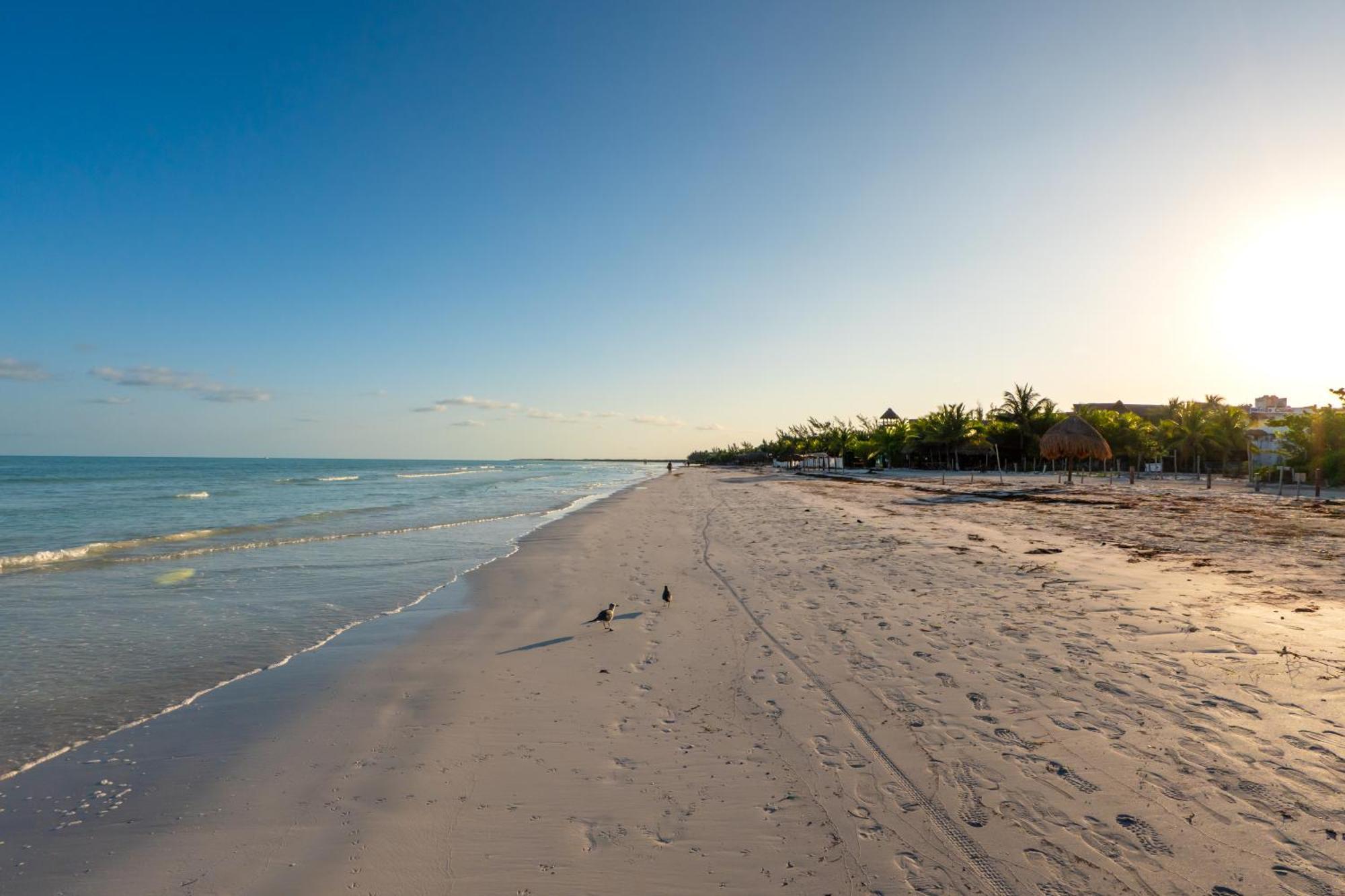 My Blue Hotel Holbox Buitenkant foto